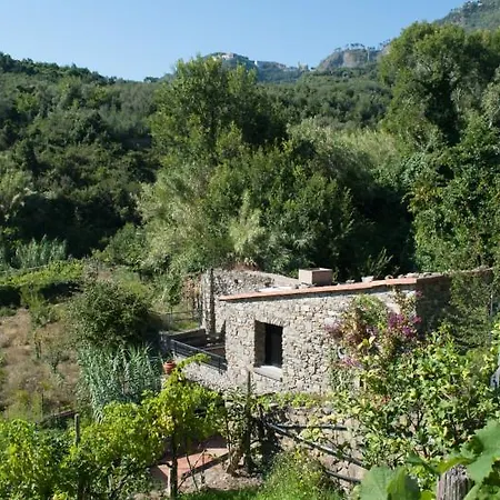 Il Mulino Incantato *
